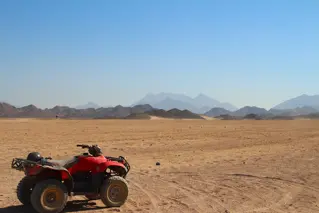 Desert Safari