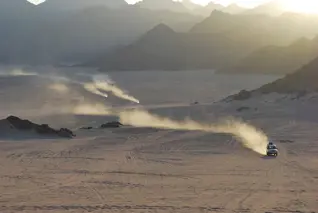 Desert Safari