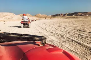 Desert Safari