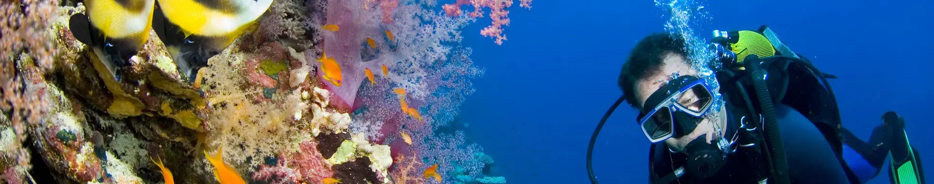 Diving Center