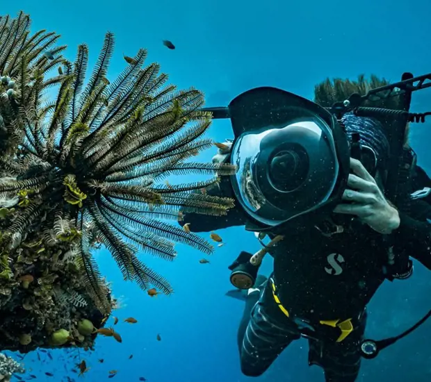 Advanced Open Water Diver