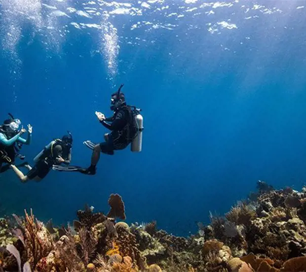 Discover Scuba Diving