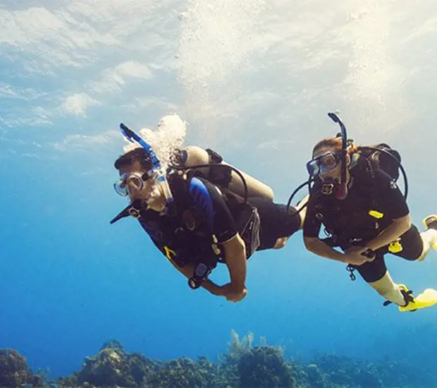 Scuba Diver